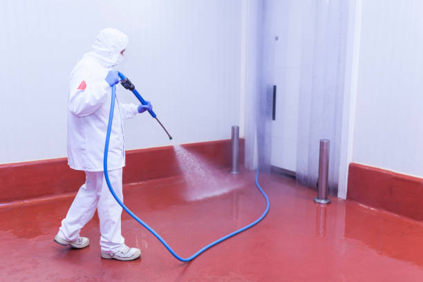 Best Oil Spill Cleanup  in Mineola, TX